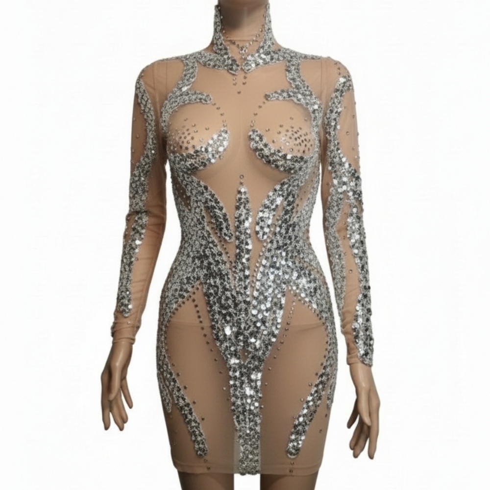 Stunning Silver Embellished Dress